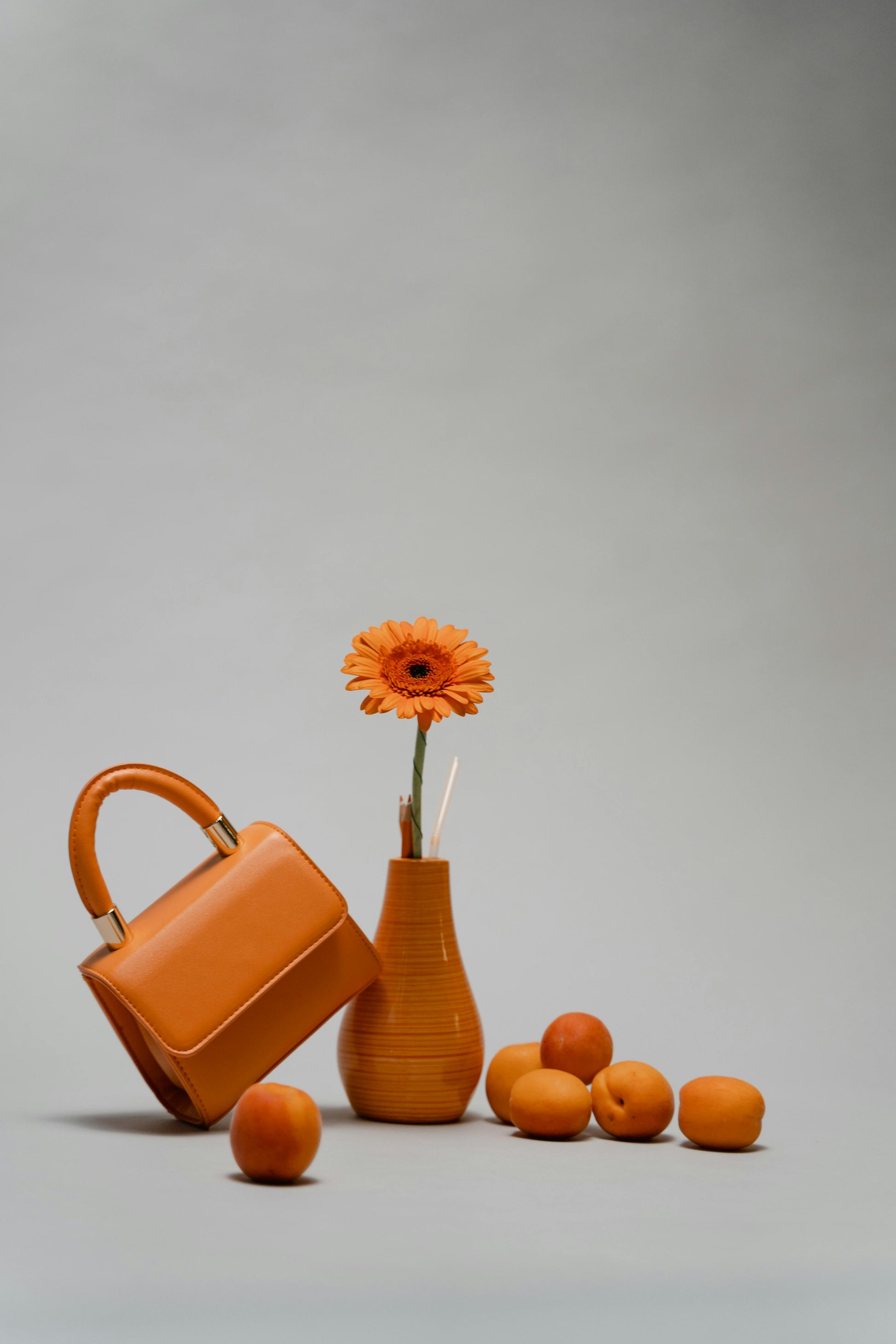 Hand Bag 003
